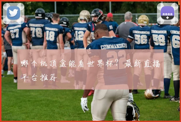 哪个机顶盒能看世界杯？最新直播平台推荐