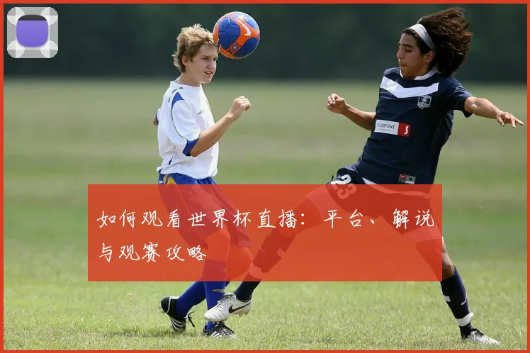 如何观看世界杯直播：平台、解说与观赛攻略