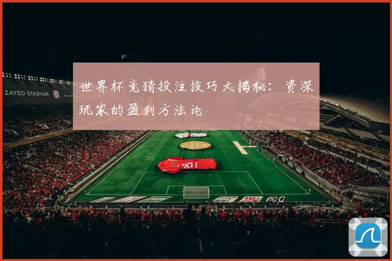 世界杯竞猜投注技巧大揭秘：资深玩家的盈利方法论