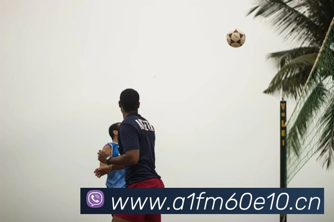 多媒体互动体验